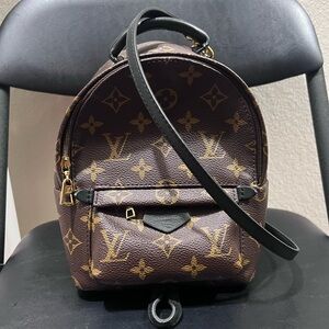 Louis Vuitton Mini Palm Spring Backpack